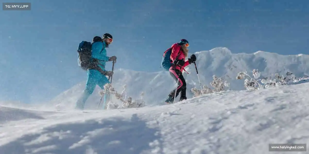 我们的品牌价值